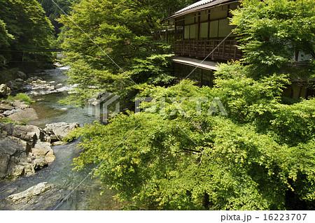 清滝川 16223707
