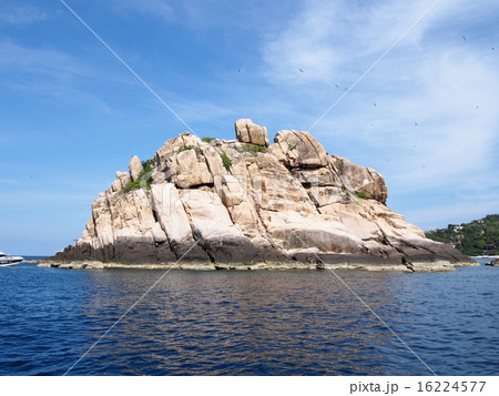 タイ　タオ島　シャークアイランド 16224577