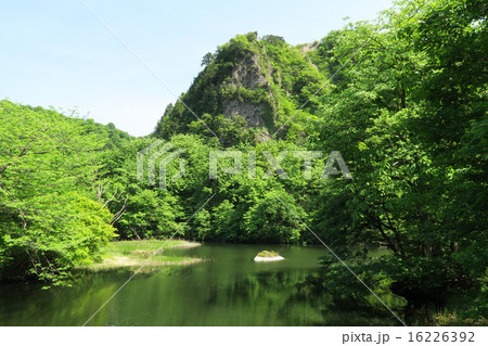 医王山 大池平 医王山 大池平 16226392