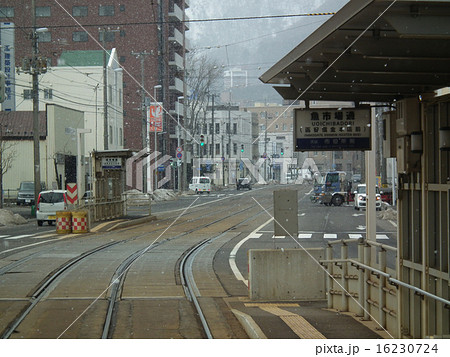 函館　市電 16230724