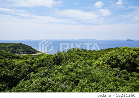 崎戸島より海を望む 16231260