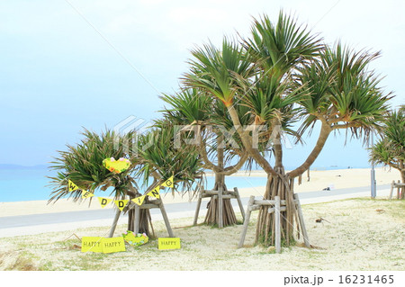 ビーチウェディング 16231465