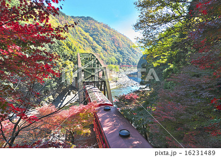 トロッコ列車 16231489