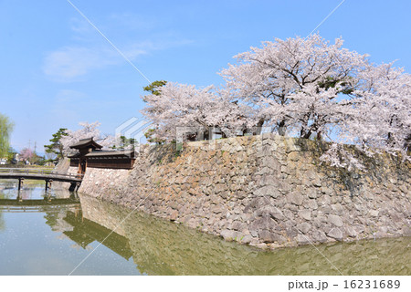 松代城跡 16231689