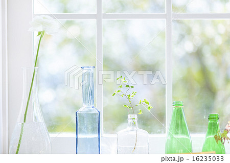 窓辺の花瓶 16235033