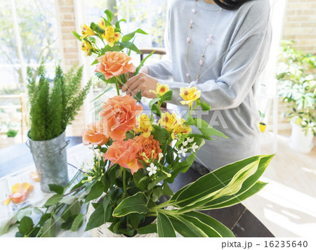 フラワーアレンジをする女性 16235640