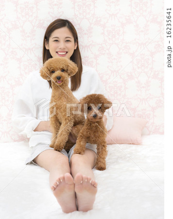 女性と2匹のトイプードル 16235641