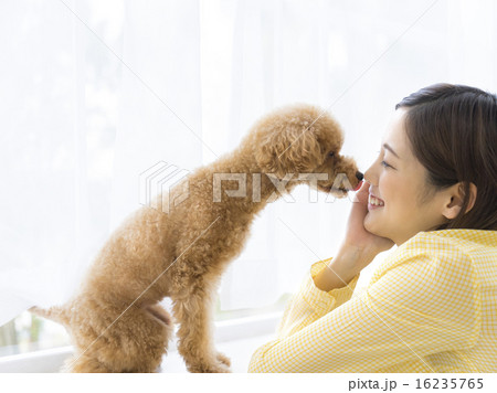女性とトイプードル 16235765