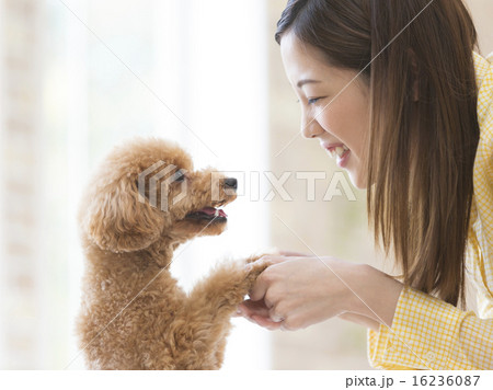 女性とトイプードル 16236087