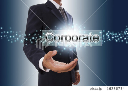 Businessman hand showing corporate button 16236734