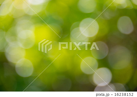 背景用　木洩れ日レンズボケ　perming 　写真素材 16238152