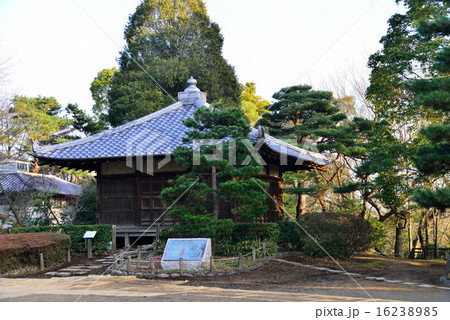 哲学堂公園 哲学堂公園 16238985