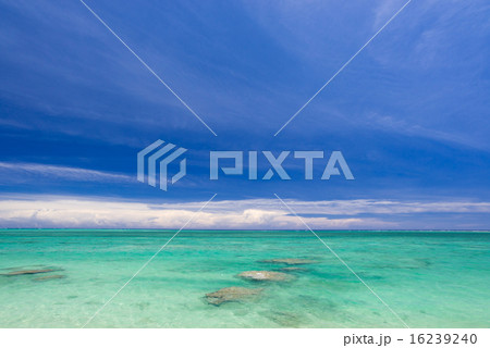 沖縄のビーチ・みーばるビーチ 沖縄のビーチ・みーばるビーチ 16239240