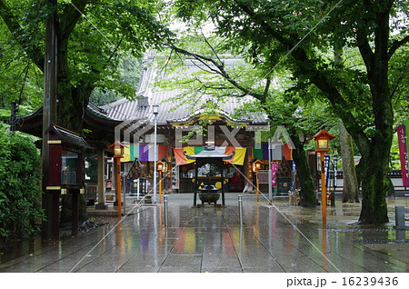 小江戸川越 蓮馨寺 雨に映る五色幕 小江戸川越 蓮馨寺 雨に映る五色幕 16239436