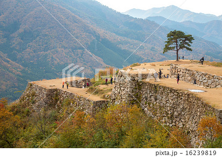 山城の石垣 16239819