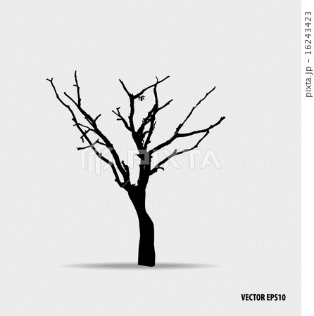 Tree silhouette. Vector illustration. 16243423