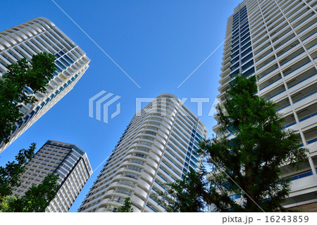 みなとみらい地区の高層マンション群 16243859