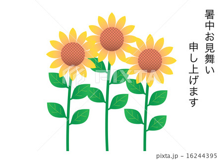 ひまわりの暑中見舞い状 ひまわりの暑中見舞い状 16244395