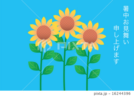 ひまわりの暑中見舞い状 16244396