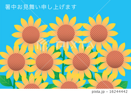 ひまわりの暑中見舞い状 16244442