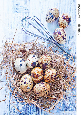 eggs eggs 16244598
