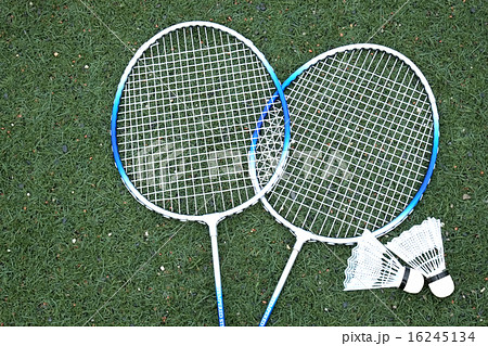 バトミントン 16245134