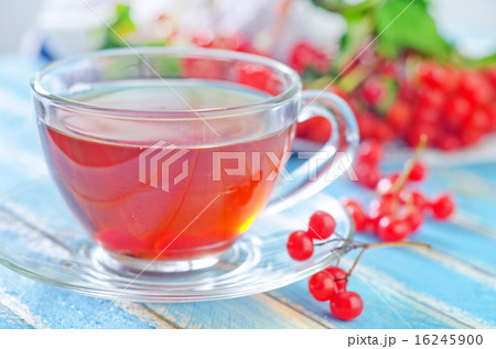fresh tea fresh tea 16245900