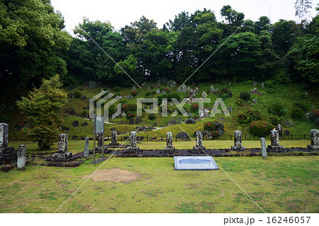 大村市　旧円融寺庭園 16246057