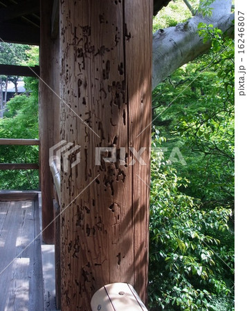 シロアリ・虫による食害跡（京都東福寺通天台にて） 16246807