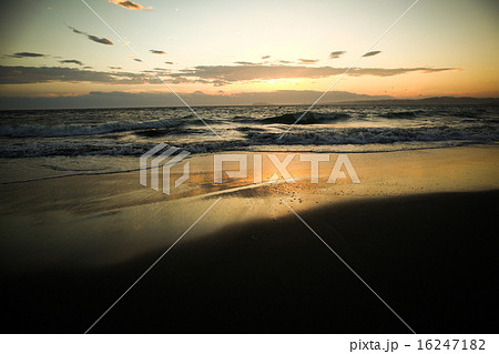 葉山の海 16247182