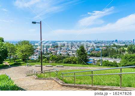 街を一望するのどかな公園 街を一望するのどかな公園 16247826
