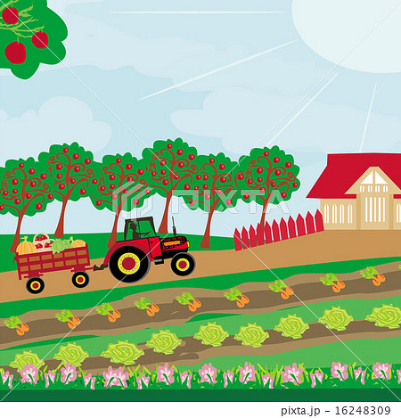 Rural Landscape Tractor And Orchardのイラスト素材