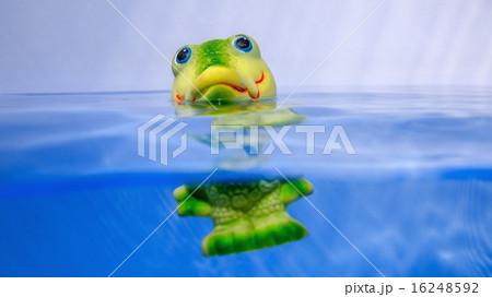 Toy crocodile in water Toy crocodile in water 16248592