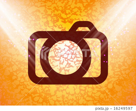 Camera. Flat modern web button and space for your 16249597