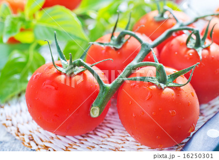 tomato tomato 16250301