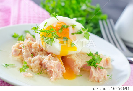 tuna and egg tuna and egg 16250691