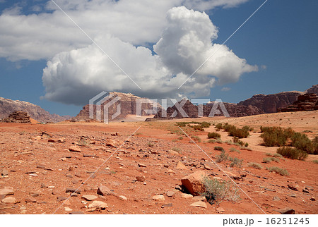 Wadi Rum Desert, Jordan 60 km to the east of Aqaba 16251245