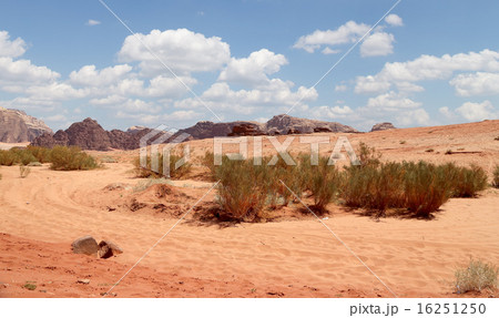 Wadi Rum Desert, Jordan 60 km to the east of Aqaba 16251250