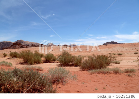 Wadi Rum Desert, Jordan 60 km to the east of Aqaba 16251286