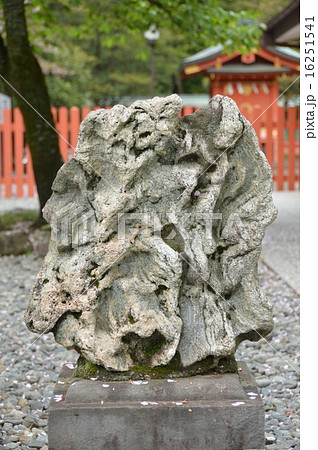 南極の石（富士山本宮･浅間大社／静岡県富士宮市宮町1-1） 16251541