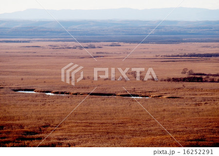 釧路湿原 釧路湿原 16252291