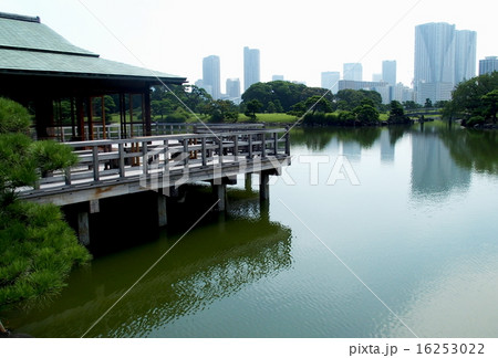 浜離宮恩賜公園 16253022