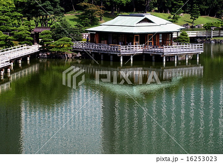 浜離宮恩賜公園 16253023