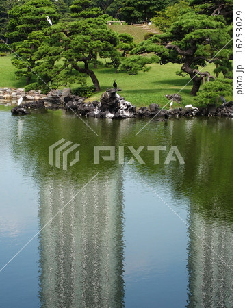 浜離宮恩賜公園 16253029