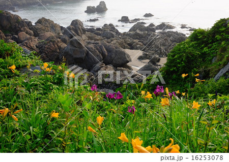 大須賀海岸（干潮時の風景） 16253078