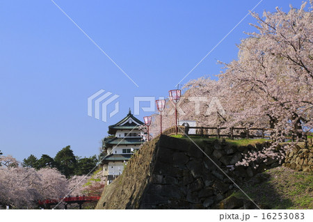 弘前公園 桜満開イメージ 弘前公園 桜満開イメージ 16253083
