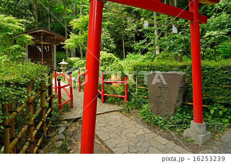 国分寺散歩:真姿の池・弁財天 国分寺散歩:真姿の池・弁財天 16253239
