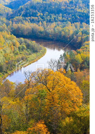 ガウヤ川（ラトビア・スィグルダ） 16253356