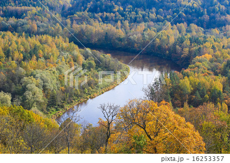ガウヤ川（ラトビア・スィグルダ） 16253357