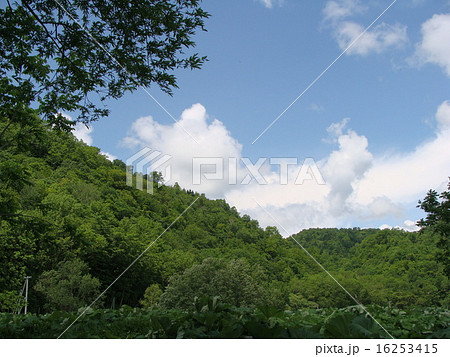 足寄の空 足寄の空 16253415